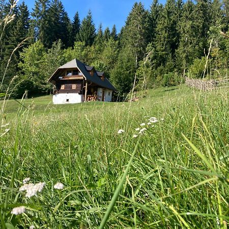 Gastkeusche Hoess Semriach Buitenkant foto